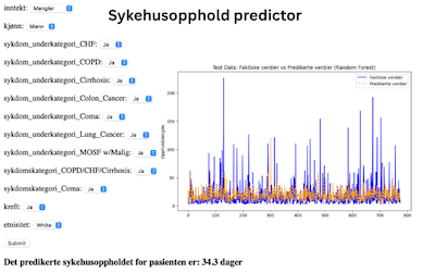 Sykehusopphold Predictor